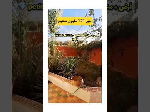 أرض + منزل للبيع في بركان