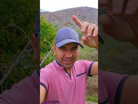هكتار ونصف فيهآ انواع أشجار تمن مناسب موقع جغرافي