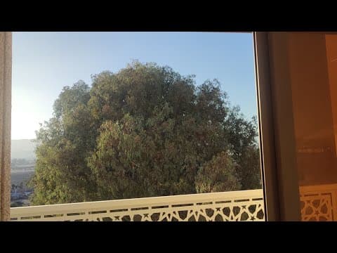 شقة للبيع بدون حاجب رؤية بقيمة 47 مليون بعد الاستفادة من دعم