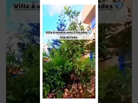 فيلا للبيع قرب البحر في كاب دي لو - الناظور