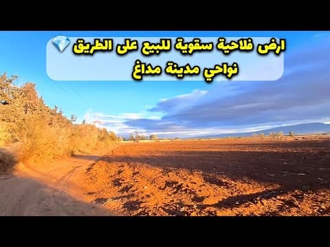 أرض فلاحية للبيع على الطريق بالقرب من مدينة مداغ
