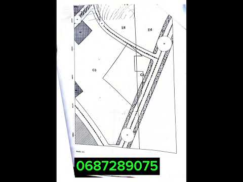 Terrain à vendre à Bni Ykhlef Mohammedia 20 hectares