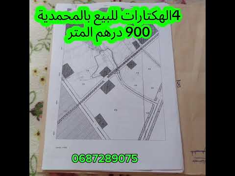 Terrain à vendre à Aïn Attiq, Mohammedia, 4 hectares à 900 dirhams le mètre carré