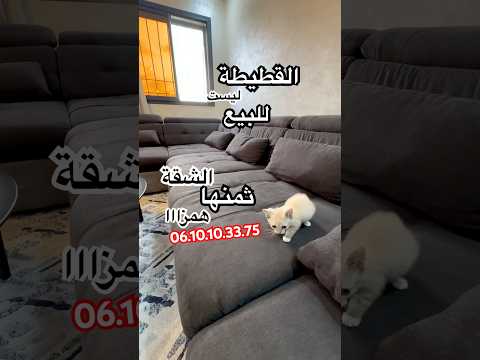 منزل in الدار البيضاء - 62.000.000 د.م