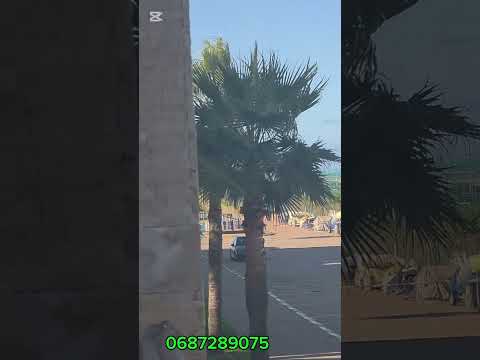 Property video thumbnail - DukBBtfwoz0