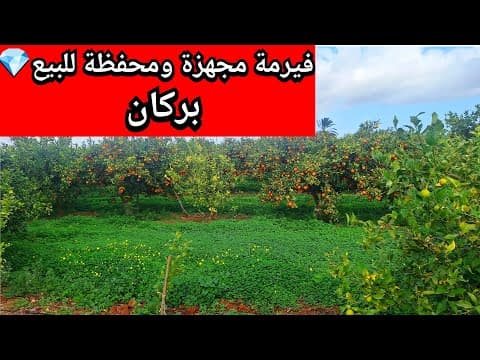 terrain in Berkane - 5m² - 4.000.000 DH